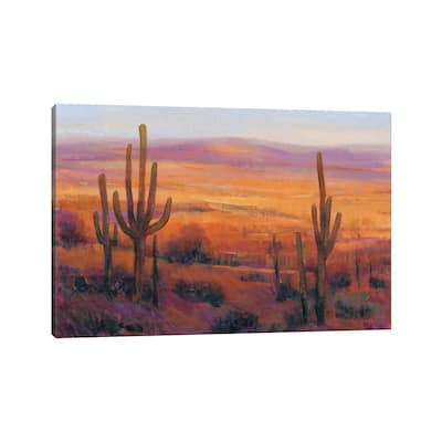 iCanvas "Desert Light II" by Tim OToole Canvas Print