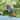 Alpine Corporation 11" Tall Outdoor Metal Wide-Eyed Bird Statue Colorful Indoor/Outdoor Animal Decor
