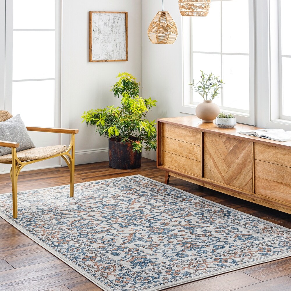 New Products - Blue, Traditional Rugs | Find Great Home Decor 