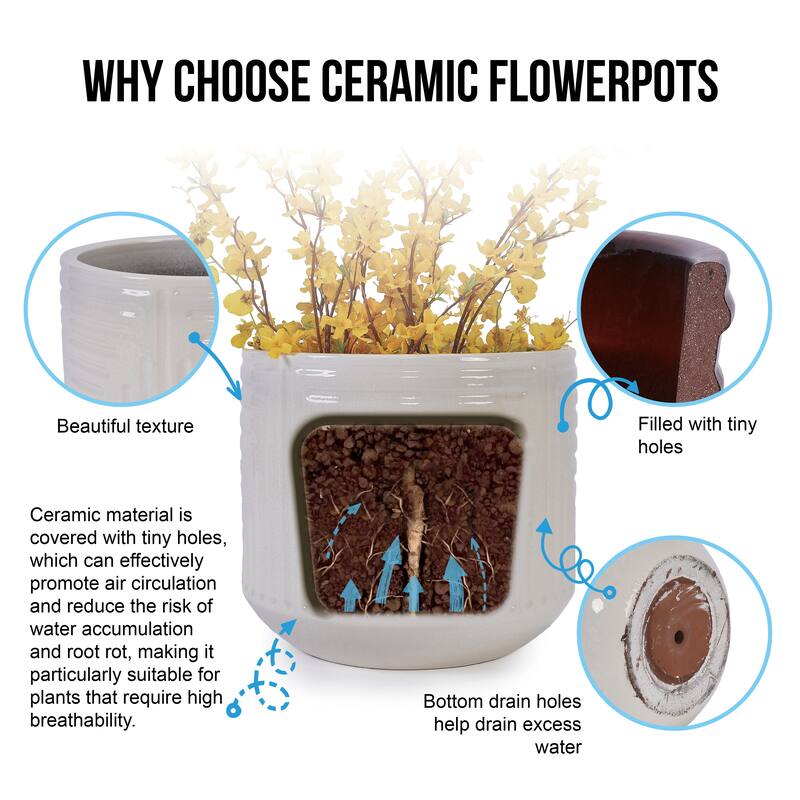 Handmade Ceramic Planter, Monstera & Fiddle Leaf Fig, 16" Diameter