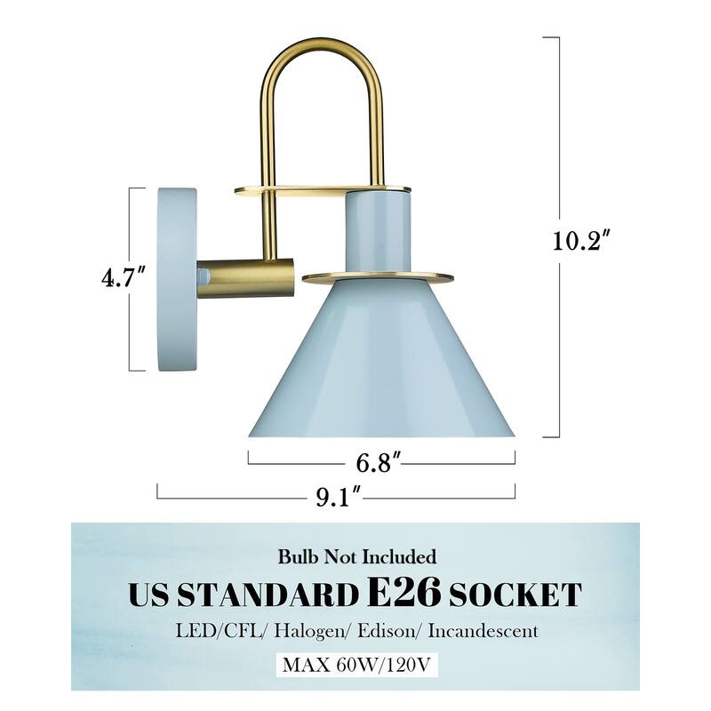 1 Light Bathroom Vanity Light Fixture, Wall Sconce