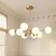 Option Gold-8 Bulbs