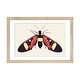 preview thumbnail 13 of 18, iCanvas "Red Butterfly" by Ana Martinez Natural - 16x24x1