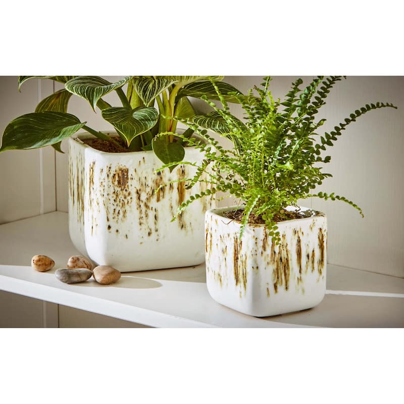 Large White Multi Ceramic Square Planter - 5.75" H x 6.5" L x 6.5" W - Perfect for Summer Gardening & Home Decor