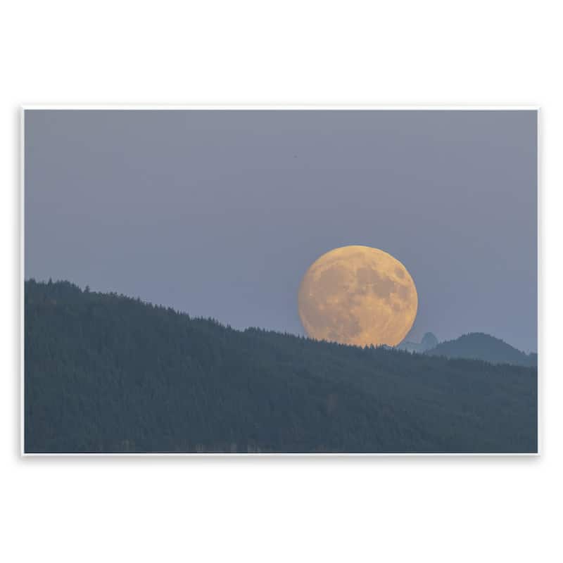 Stupell Majestic Moonrise Landscape Wall Plaque Art Design By Nancy Crowell - 19 x 13