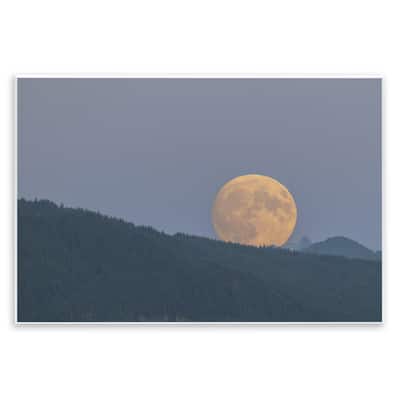 Stupell Majestic Moonrise Landscape Wall Plaque Art Design By Nancy Crowell
