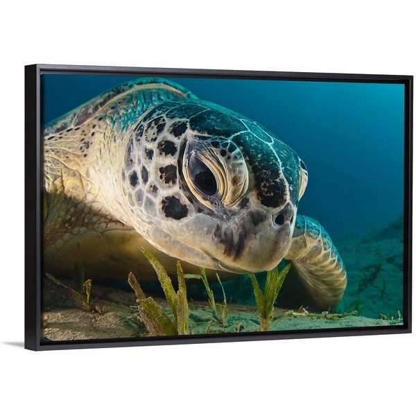 "Gaze" Black Float Frame Canvas Art