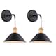 Option RGB(2Pack)