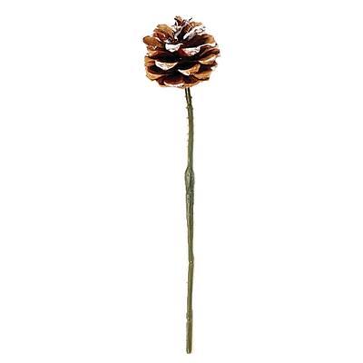 1.75" White Tip Pine Cone Pick, Set of 12 - 1.75