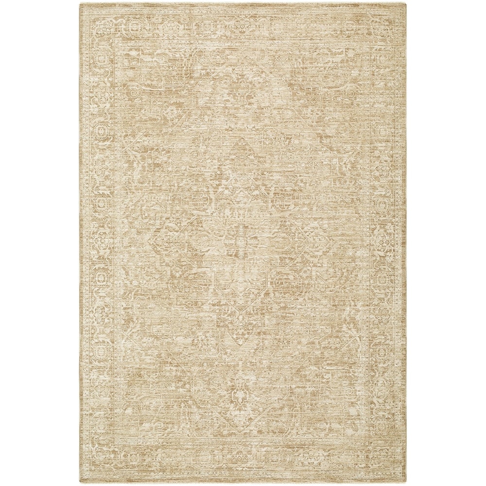 Livabliss Masterpiece Traditional Area Rug