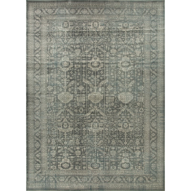 Anila Collection Light Blue, Beige and Silver Transitional Oriental Area Rug