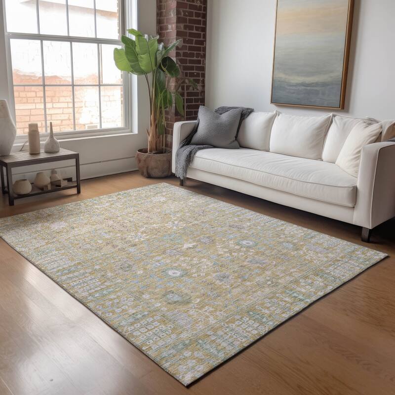 Machine Washable Indoor/ Outdoor Traditional Classic Chantille Rug