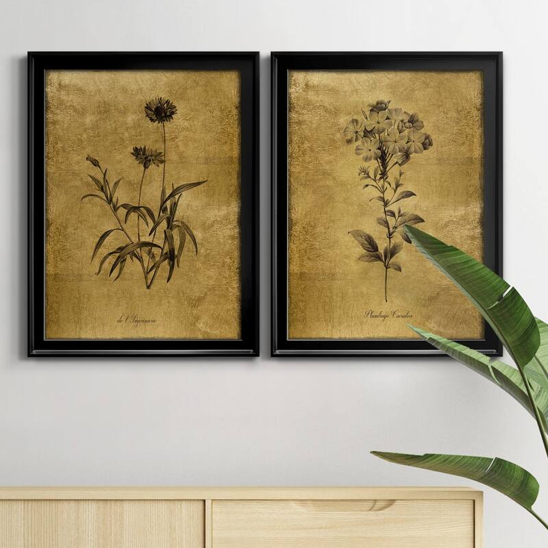 Gold Sketch Botanical I Premium Framed Print - Ready to Hang - Multi-Color