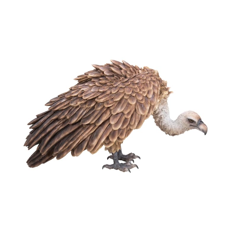 Bald Eagle Outdoor Garden Statue - 23.75"