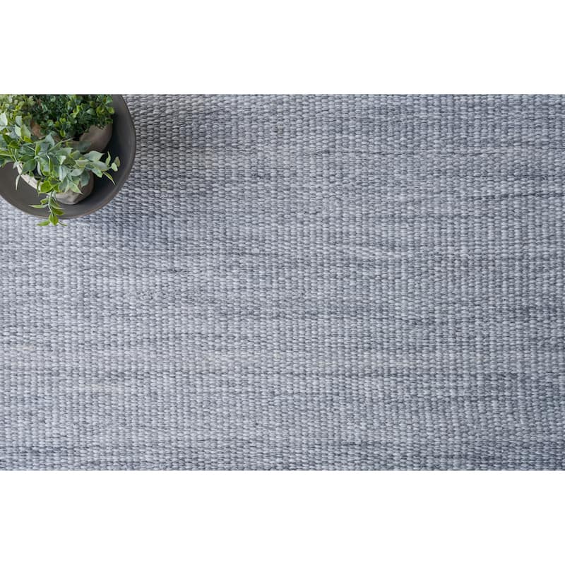 EXQUISITE RUGS Loro Indoor/Outdoor Flatweave PET yarn Light Silver Area Rug.