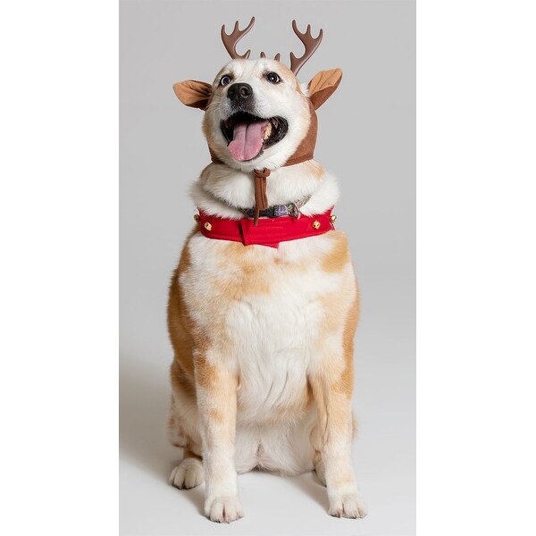 dog rudolph costume
