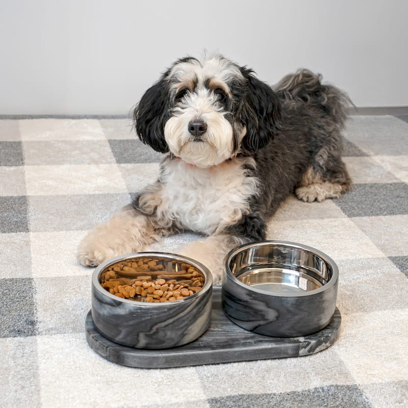 Marbre 12oz Double Pet Bowl Set - Marble & Stainless Steel with Non-Slip Tray