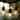 Brightech Ambience Pro 15-Light 48 ft. Outdoor Plug-in 2W 2500k LED S14 Hanging Edison Bulb String-Light