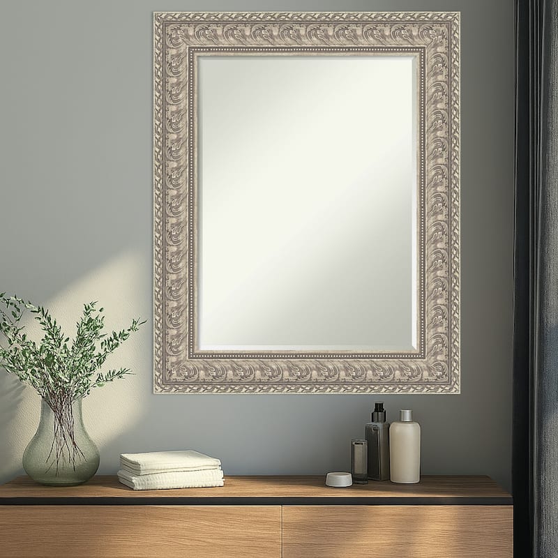 Sydney Half-Inch-Bevel Framed Wall Mirror - Sydney Silver - 25 x 31 in