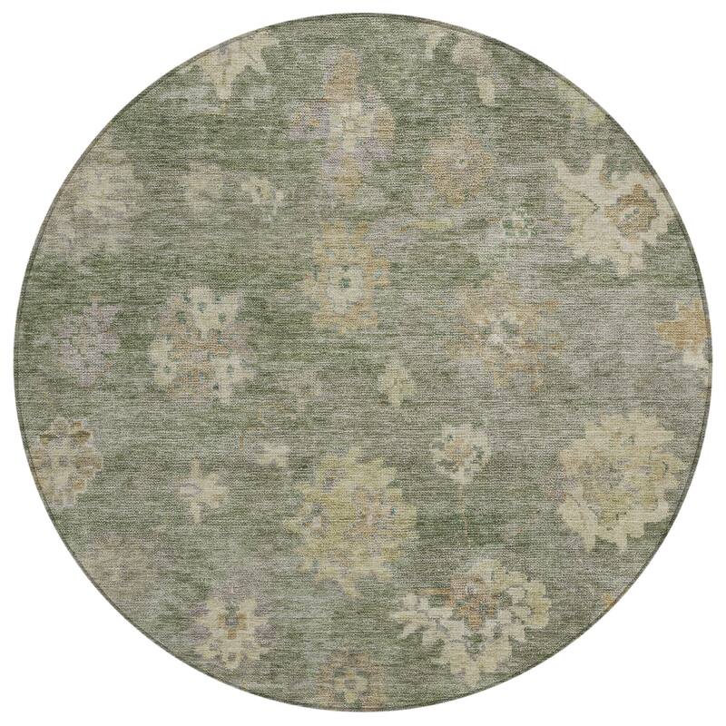 Machine Washable Indoor/ Outdoor Casual Traditional Chantille Rug