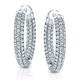 Option White Gold