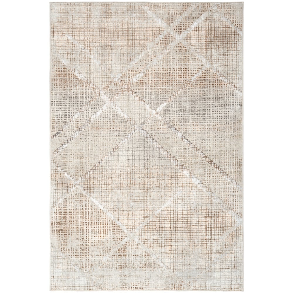 Nourison Home Iliana Indoor only Grey Abstract Area Rug