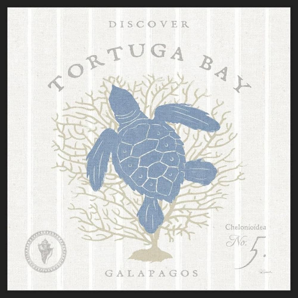 Island Findings VI Framed Poster