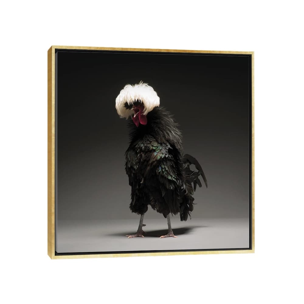 iCanvas "Black Polish Big" by CHICken Framed Canvas Print