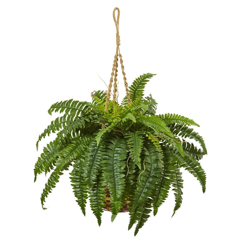 Hanging Fern Basket Indoor Decor - 22" City Chic Greenery - Thick Rope - Home Accent