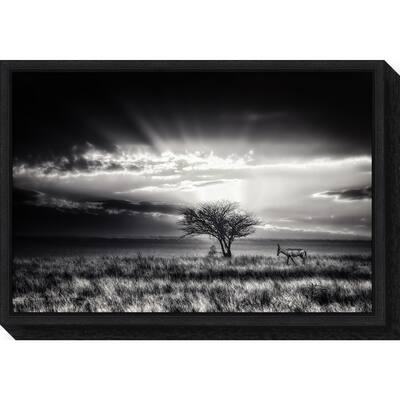 Canvas Art Framed 'sunrise with hartebeest' by Piet Flour