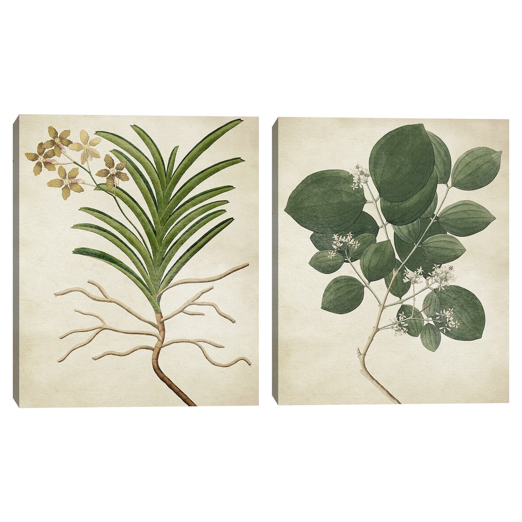 Simple Nature V & VI Texture Canvas Art Prints