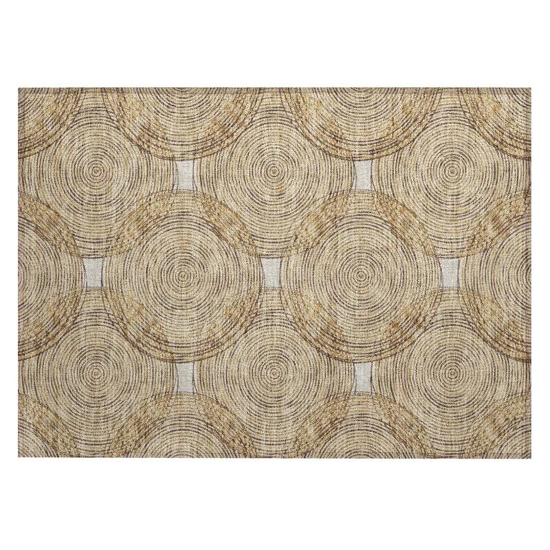 Machine Washable Indoor/ Outdoor Modern Pune Chantille Rug