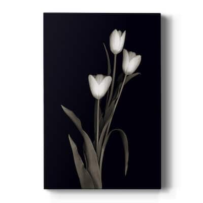 Tulip Pose I Premium Gallery Wrapped Canvas - Ready to Hang