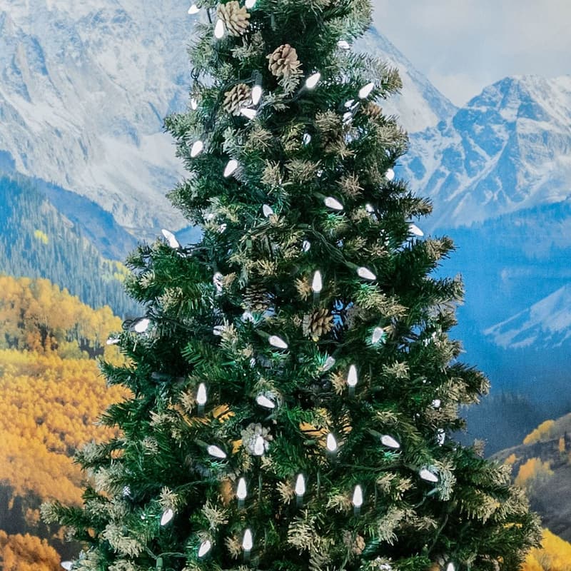 70 Light C6 True Twinkle LED Christmas Mini Light Set, Pure White, Green Wire, 24 Feet