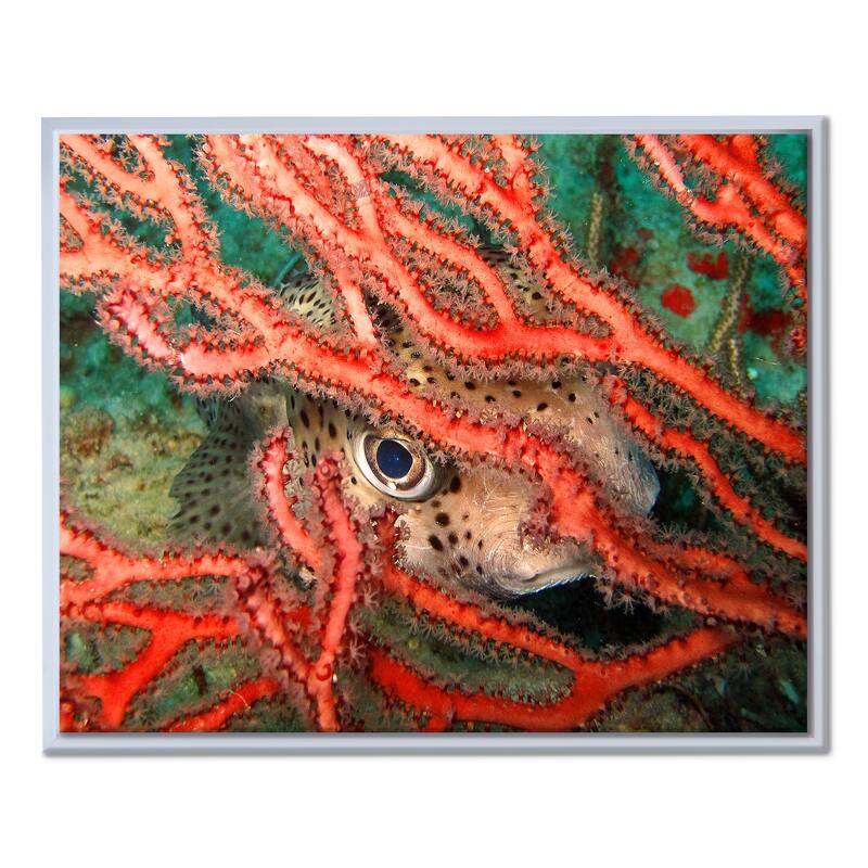 Ready2HangArt 'Underwater' Framed Canvas Wall Art