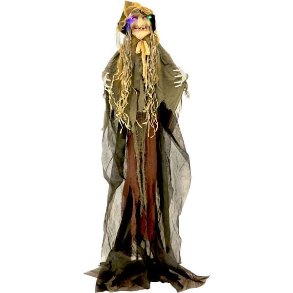 slide 2 of 9, Haunted Hill Farm 6-Ft. Scarecrow Witch, Indoor/Covered Outdoor Halloween Decoration, LED Multi Eyes, Poseable, , Helena