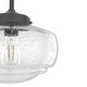 preview thumbnail 6 of 28, Hunter 10" Saddle Creek 1 Light Pendant or Semi-Flush Mount Ceiling Light - Kitchen Island, Dining Room, Entry