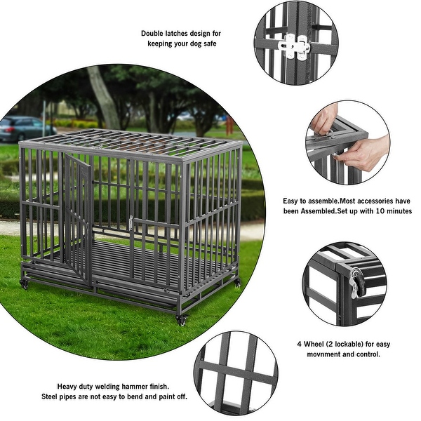 46 top dog crate