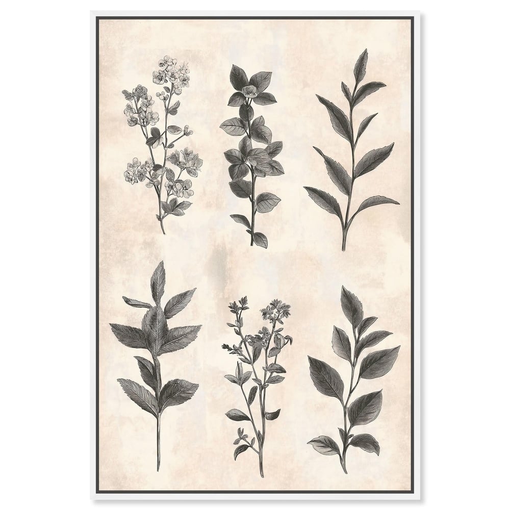 Sepia Stems Canvas by Art Remedy