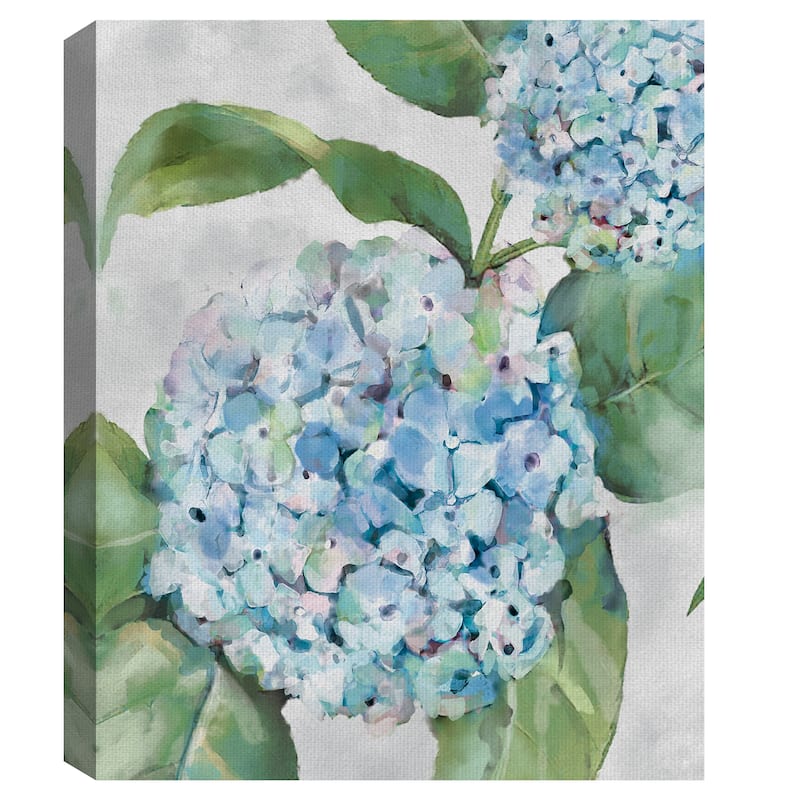 Hydrangea Portraits I by Studio Arts Canvas Art Print
