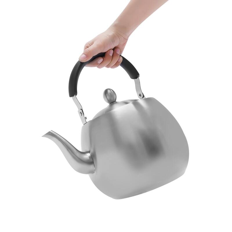 Stainless Steel Whistling Kettle 4.22qt Stovetop Long Spout On Sale