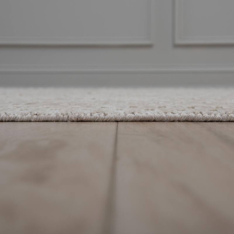 Alora Decor Pure Hand Loomed High/Low Geometric Rug