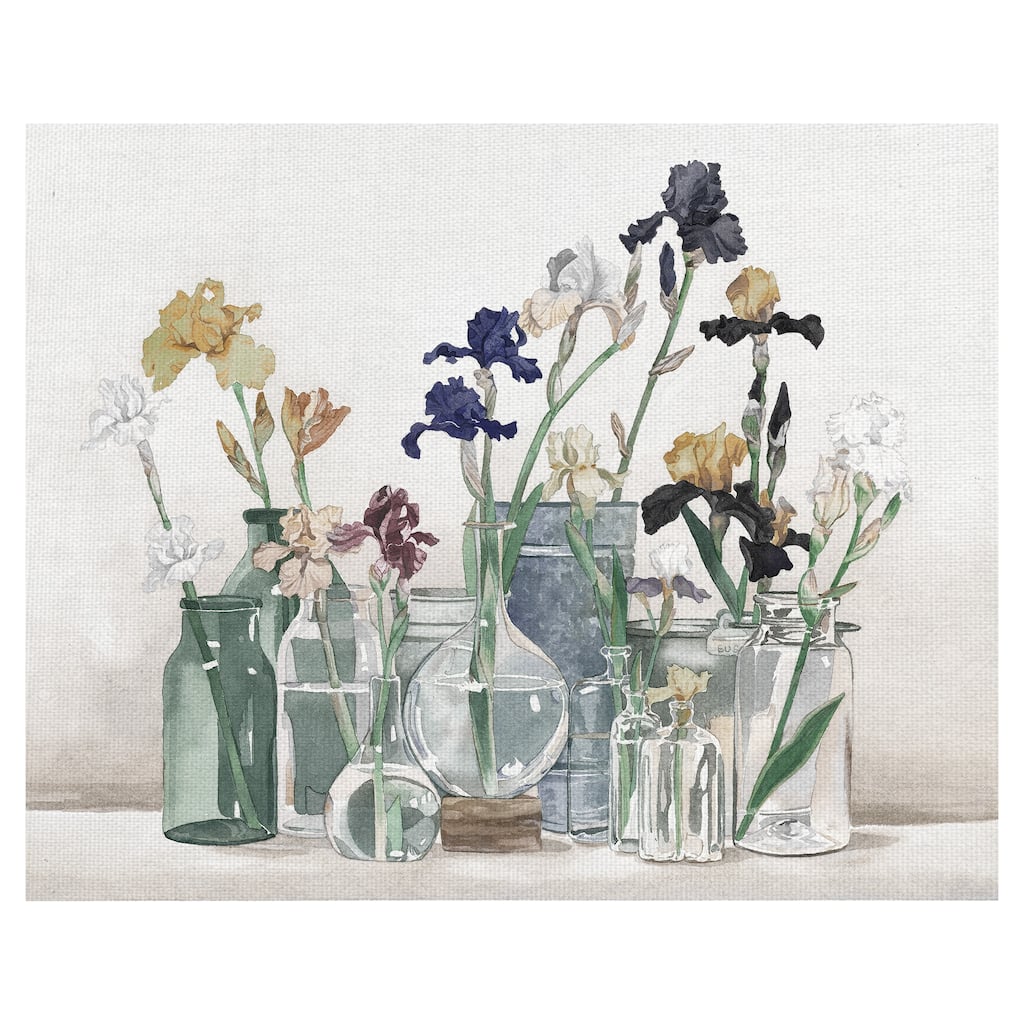 Irises in Vases Ivory by Suzanne Cruise Creative Services Canvas Art Print