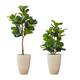 Option 3.5ft & 5ft Faux Fig