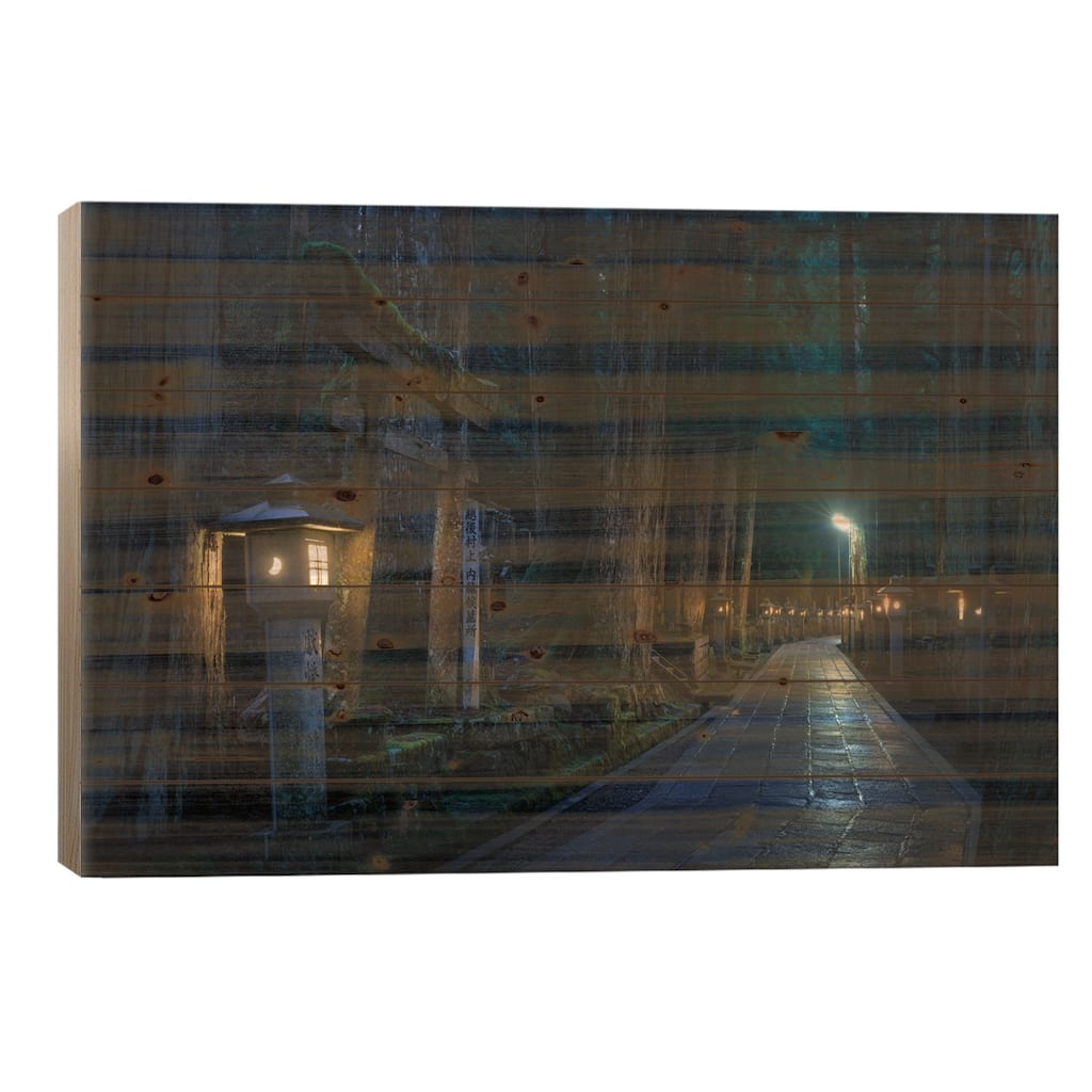 Japan Print On Wood by Daniel Kordan - Multi-Color