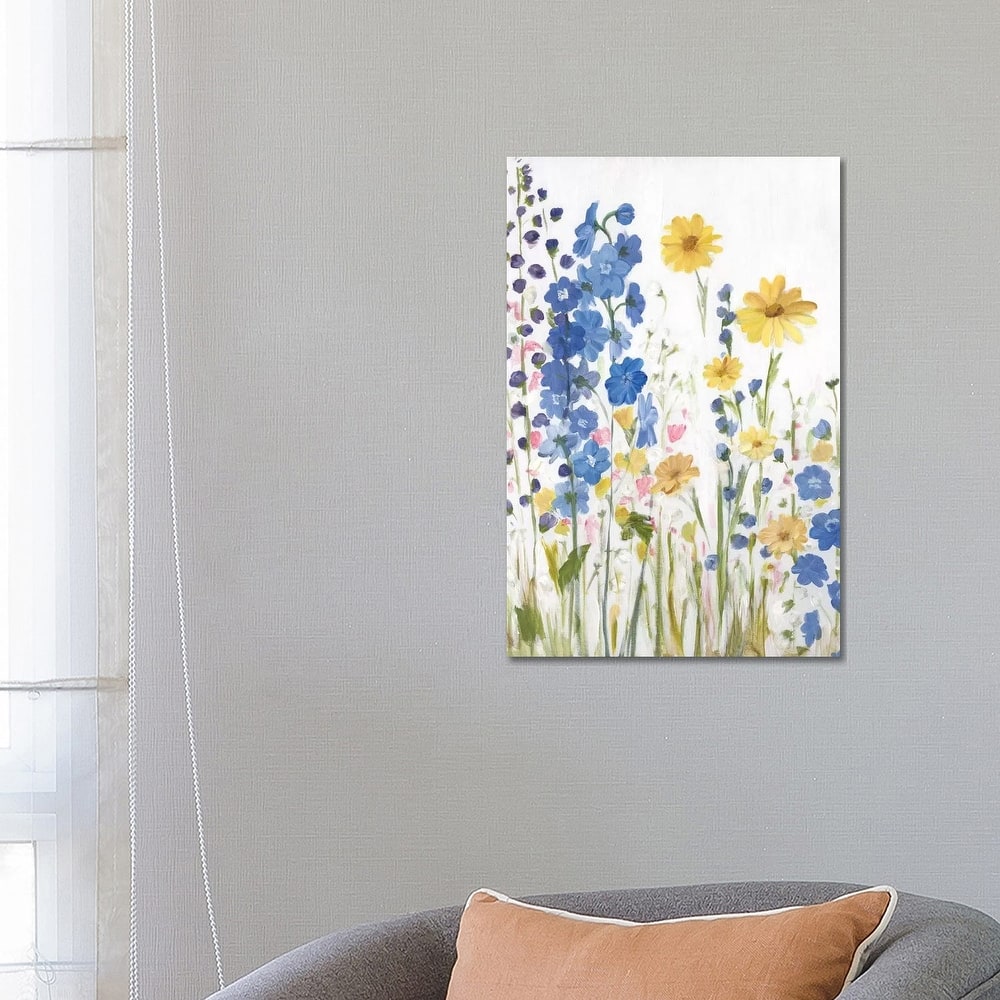 iCanvas "Periwinkle Wildflowers I" by Sandra Iafrate Canvas Print