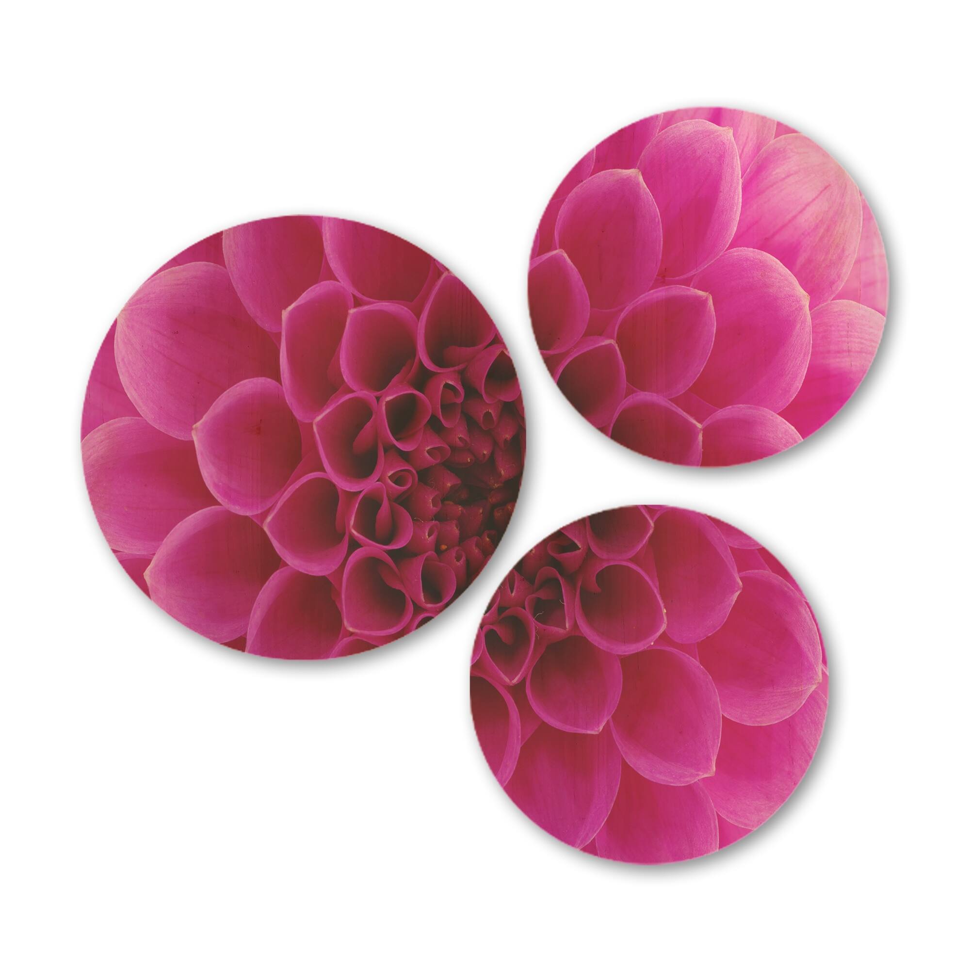 Designart 'Dark Pink Abstract Flower Petals' Floral Wood Wall Art Set