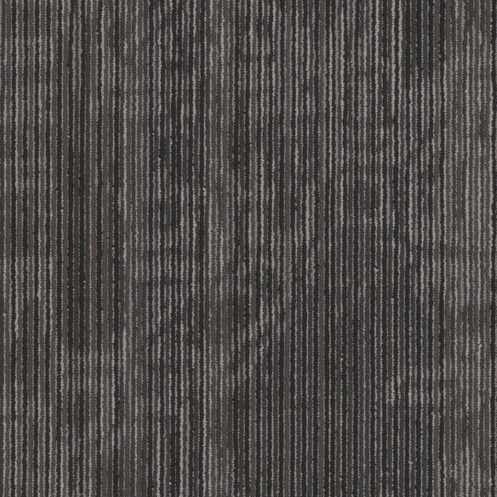 Shaw Philadelphia Commercial Encrypt 18" x 36" Glue Down Carpet Tile -