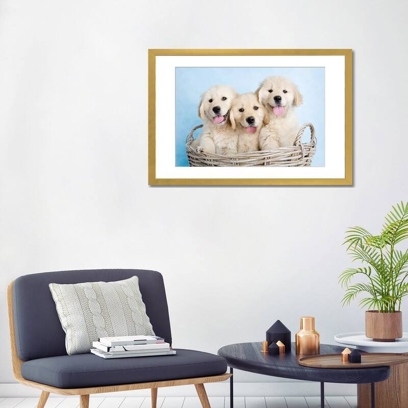 iCanvas "Buffy, Biskit, And Beau" by Rachael Hale