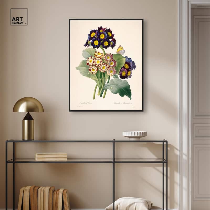 Auricula Varieties Canvas by Art Remedy